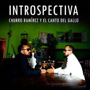 Introspectiva
