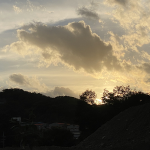 하루만 사랑하고 싶어(feat. 김찬호)