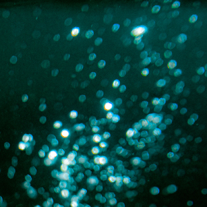 Career (feat. KIKUMARU)