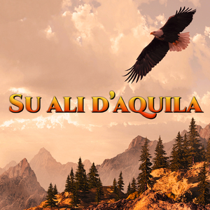 Su ali d'aquila