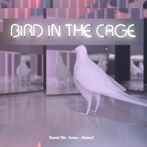 bird in the cage