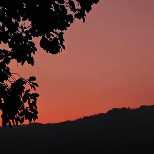 你懂得（翻自 小沈阳）