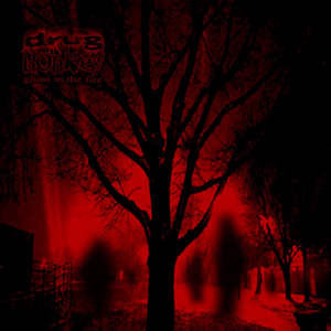 Order of the Solar Temple