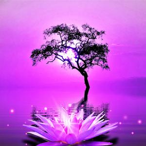 Yoga Mindfulness 432 hz