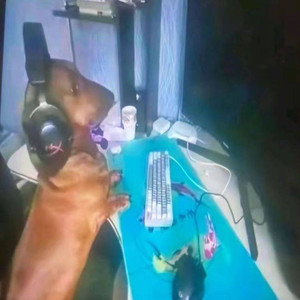 Узбекистан