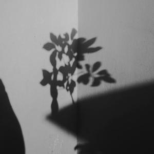 届かないこの思いを