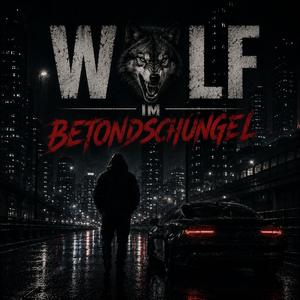 Wolf im Betondschungel