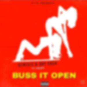 Buss It Open (feat. Genesis & Freaky)