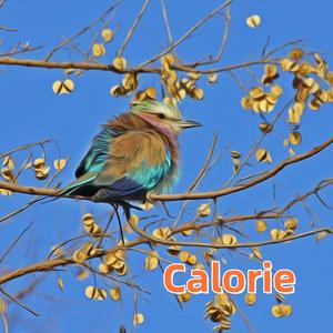 Calorie