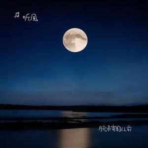 月光未寄的从前