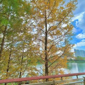 寒冬向北（冬）