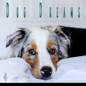Music for Dogs With Anxiety