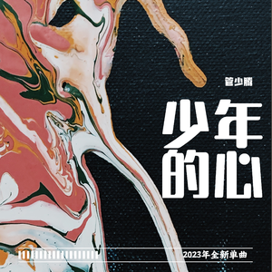 少年的心