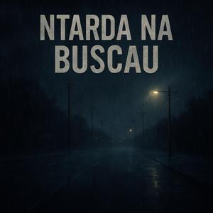 NTARDA NA BUSCAU