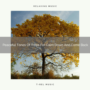 Stress Relieving Tunes Of Mother Earth For Refresh And Reconsider