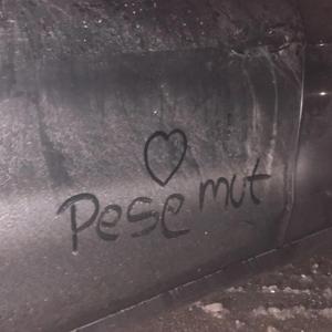 Muistan sut vieläkin