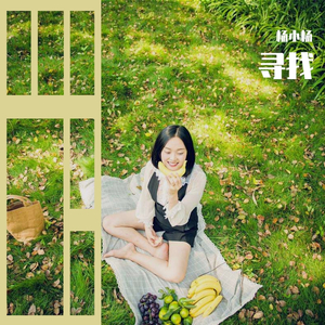 寻找（翻自 林忆莲）