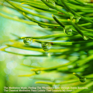 마음을 풀어주는 명상음악