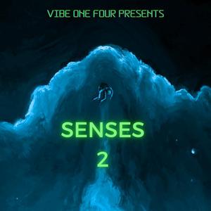 Senses 2