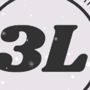 3L