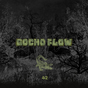 Gocho Flow 42