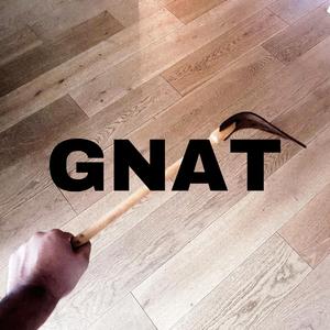 GNAT