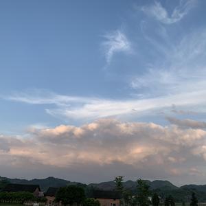 那年（Cover:枯木逢春）