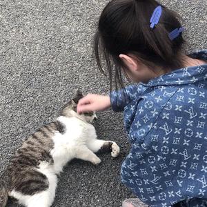 勉为其难-热门语录