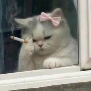 duckgame (feat. fakehelga & Mahila)