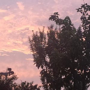 No Why（prod. YnJasper）