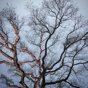 General Noise I (Xanexx Remix)