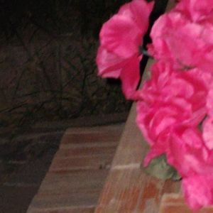 [FREE]"Wedding Dress"-BOBBYNOPEACE Type Beat