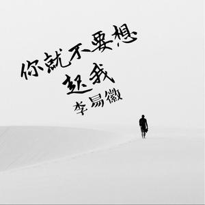 你就不要想起我