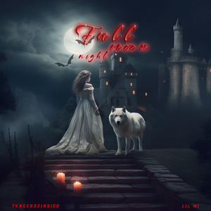 Full moon night（月圆夜）