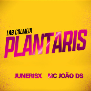 Plantaris