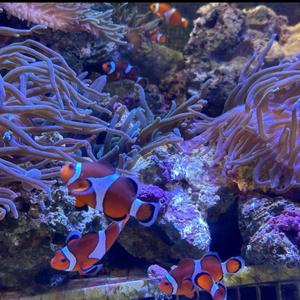 夜を越えて、私になる