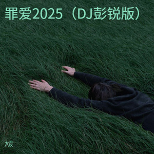 罪爱2025 (DJ彭锐版)