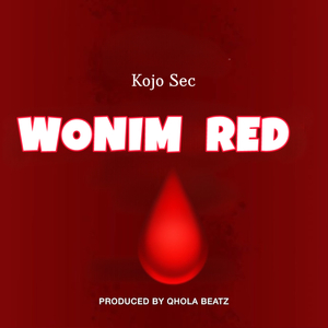 Wonim Red (Radio Edit)
