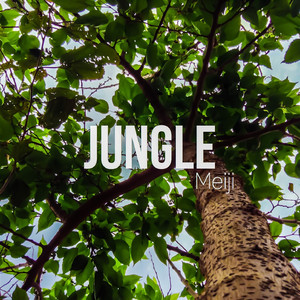 jungle