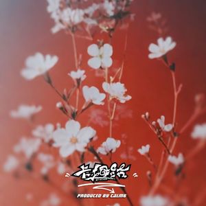 风中摇曳的花瓣