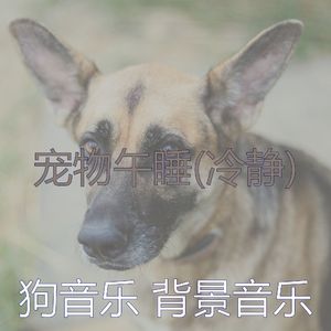 关怀(音乐)