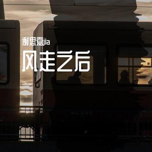 风走之后