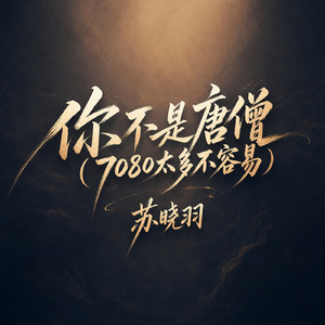 你不是唐僧(7080太多不容易)