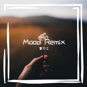 Mood（曹万江 remix）