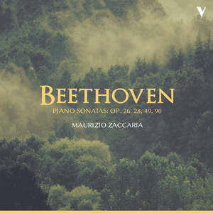 Piano Sonata No. 27 in E Minor, Op. 90:I. Mit lebhaftigkeit und durchaus mit Empfindung und Ausdruck