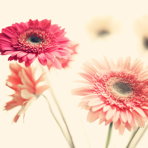 友よ ~ この先もずっと… (Originally Performed by ケツメイシ) -オルゴール-