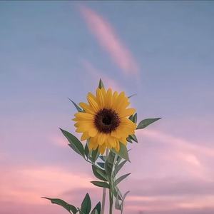 今年又快要结束了