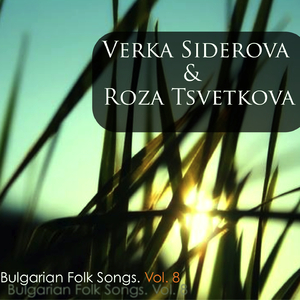 Zajenilo se terziiche