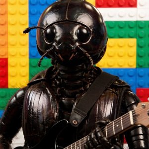 披着甲壳的昆虫