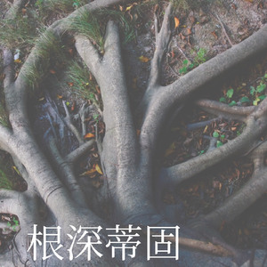 根基牢固